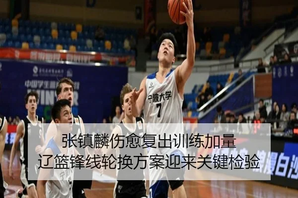 张镇麟伤愈复出训练加量 辽篮锋线轮换方案迎来关键检验